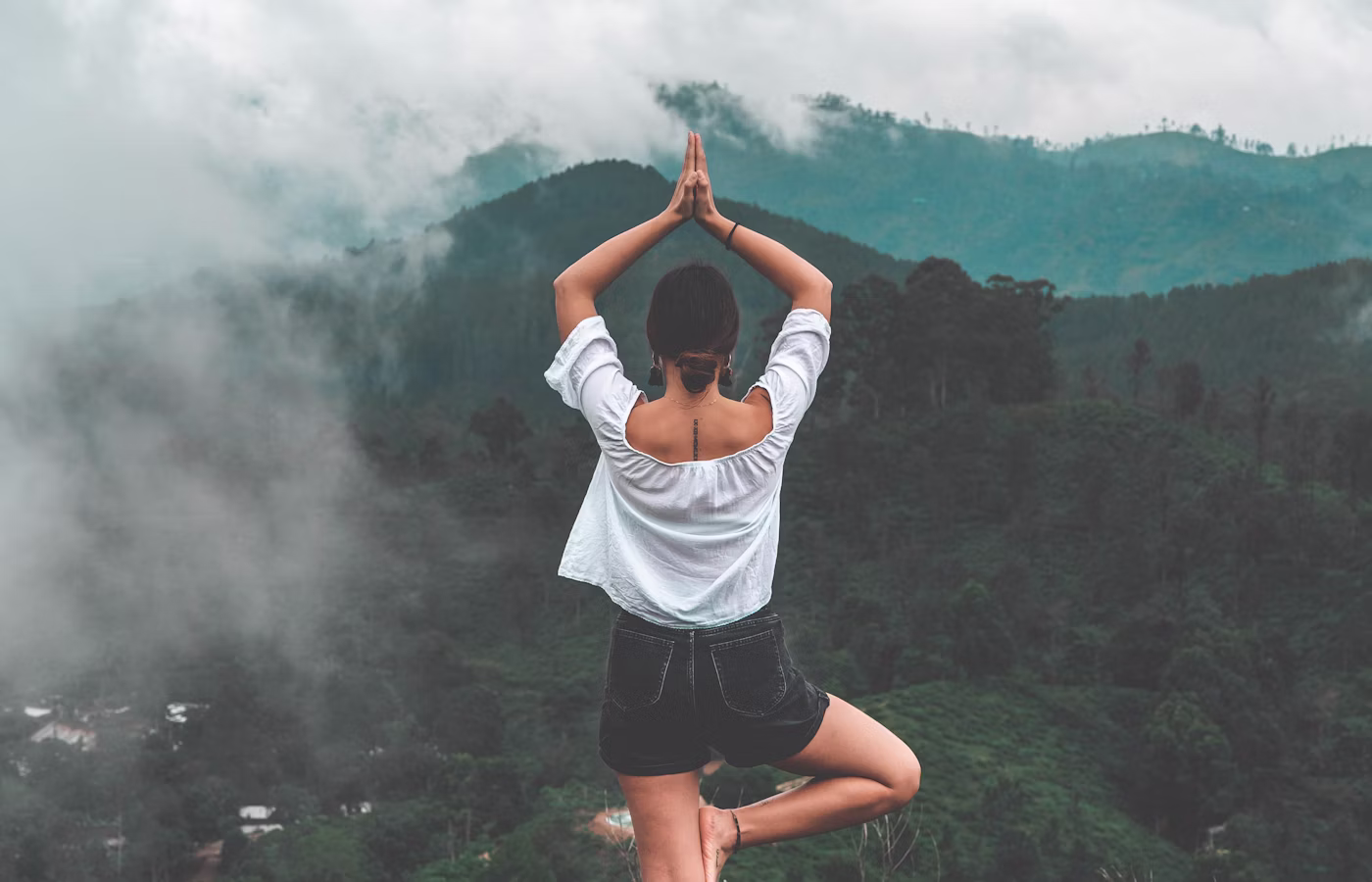 Психологическая устойчивость онлайн в Краснодар